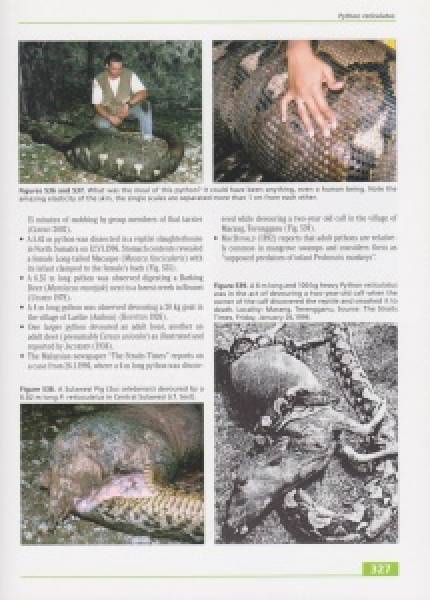 Taxonomy, Life History and Conservation of Giant Reptiles in West Kalimantan